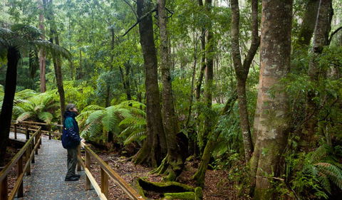 Monga National Park - Darwin Holiday 0