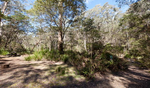 Monga National Park - Darwin Holiday 1