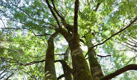 Monga National Park - Darwin Holiday 3