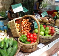 Glebe Markets - Darwin Holiday