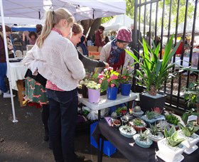 Glebe Markets - Darwin Holiday 3
