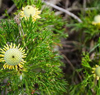 Illawarra lookout walking track - Darwin Holiday