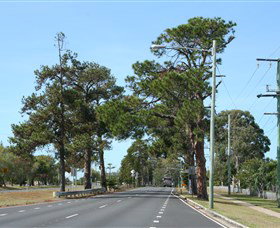 Anzac Memorial Avenue, Redcliffe - Darwin Holiday 2