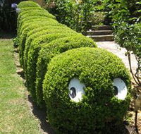 Nutcote - May Gibbs' Home - House Museum - Darwin Holiday