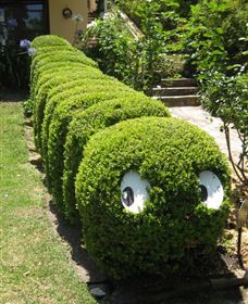 Nutcote - May Gibbs' Home - House Museum - Darwin Holiday 0