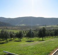 Hastings Valley Olives - Darwin Holiday