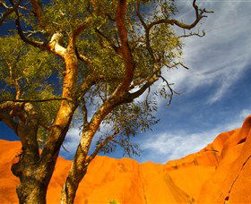 The Artery Aboriginal Art - Darwin Holiday 2