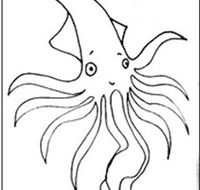 Squid Studio - Darwin Holiday