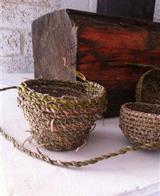 Squid Studio - Darwin Holiday 1