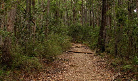 Pigeon House Mountain Didthul Walking Track - Darwin Holiday 0