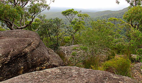 Pigeon House Mountain Didthul Walking Track - Darwin Holiday 1