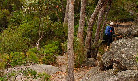 Pigeon House Mountain Didthul Walking Track - Darwin Holiday 3
