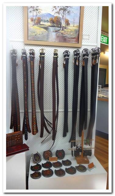 Ferry Park Gallery - Darwin Holiday 6