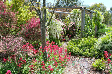 Ivy Hill Gallery - Darwin Holiday 6