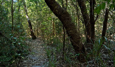 Wyrrabalong National Park - Darwin Holiday 2