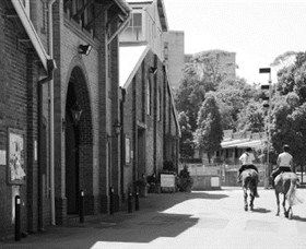 Centennial Stables - Darwin Holiday 0