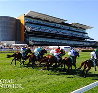 Royal Randwick Racecourse - Darwin Holiday