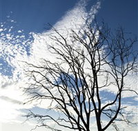 Nudgee Beach - Darwin Holiday