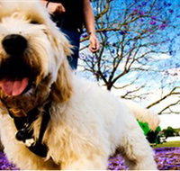 Tuckeroo Park - Darwin Holiday