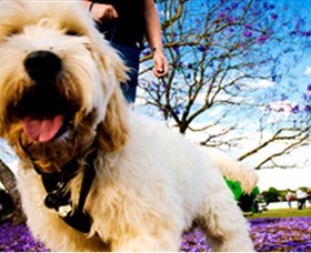 Tuckeroo Park - Darwin Holiday 0