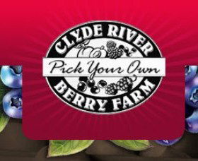 Clyde River Berry Farm - Darwin Holiday 0