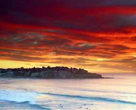 Aquabumps - Darwin Holiday 8