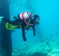 Shellharbour Scuba  Photography Centre - Darwin Holiday