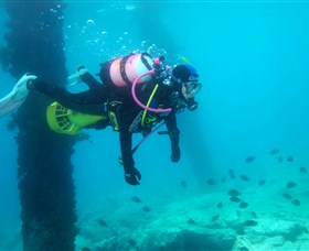 Shellharbour Scuba & Photography Centre - Darwin Holiday 0