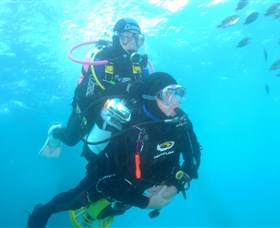 Shellharbour Scuba & Photography Centre - Darwin Holiday 1