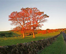 Saddleback Mountain Lookout - Darwin Holiday 2