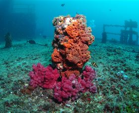 HMAS Brisbane Dive Site - Darwin Holiday 0