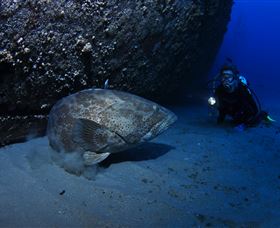HMAS Brisbane Dive Site - Darwin Holiday 3
