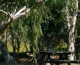 Fairy Hill NSW Darwin Holiday