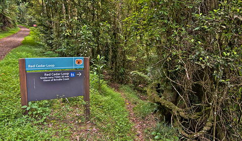 Red Cedar Loop - Darwin Holiday 0