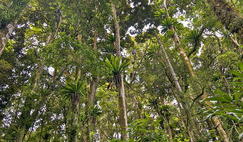 Red Cedar Loop - Darwin Holiday 2