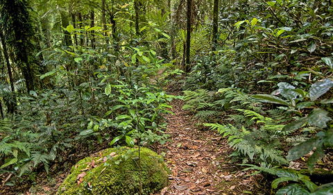 Red Cedar Loop - Darwin Holiday 3