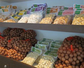 Medowie Macadamias - Darwin Holiday 2