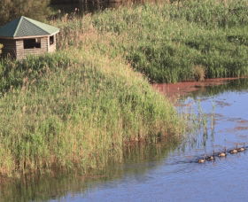 Spring Creek Bird Hide - Darwin Holiday 0