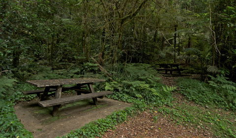 Brindle Creek Picnic Area - Darwin Holiday 2