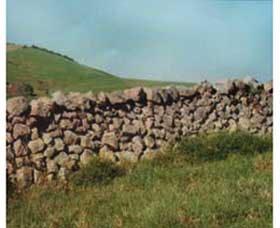 Historic Dry Stone Walls - Darwin Holiday 0