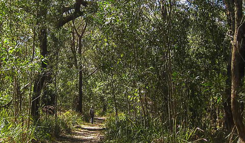 Sand Track Walk (south) - Darwin Holiday 0