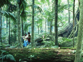 Illinbah Circuit - Darwin Holiday 0