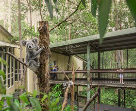 Daisy Hill Koala Centre - Darwin Holiday 0