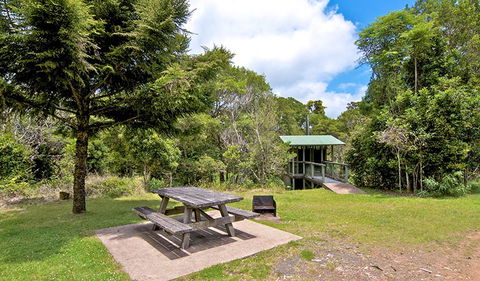 Antarctic Beech Picnic Area - Darwin Holiday 1