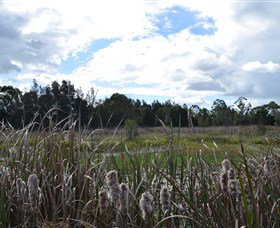 Jabiru Geenbeebeinga Wetlands - Darwin Holiday 1