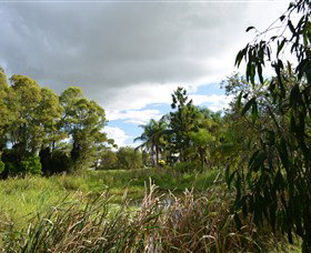 Jabiru Geenbeebeinga Wetlands - Darwin Holiday 2