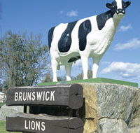 Brunswick Cow - Darwin Holiday