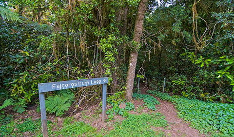 Falcorostrum Loop Walking Track - Darwin Holiday 0