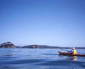 Kayaking Batemans Bay - Darwin Holiday 0