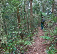 Blackbutt walking track - Darwin Holiday